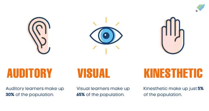 Learning styles. Auditory. Visual. Kinesthetics.