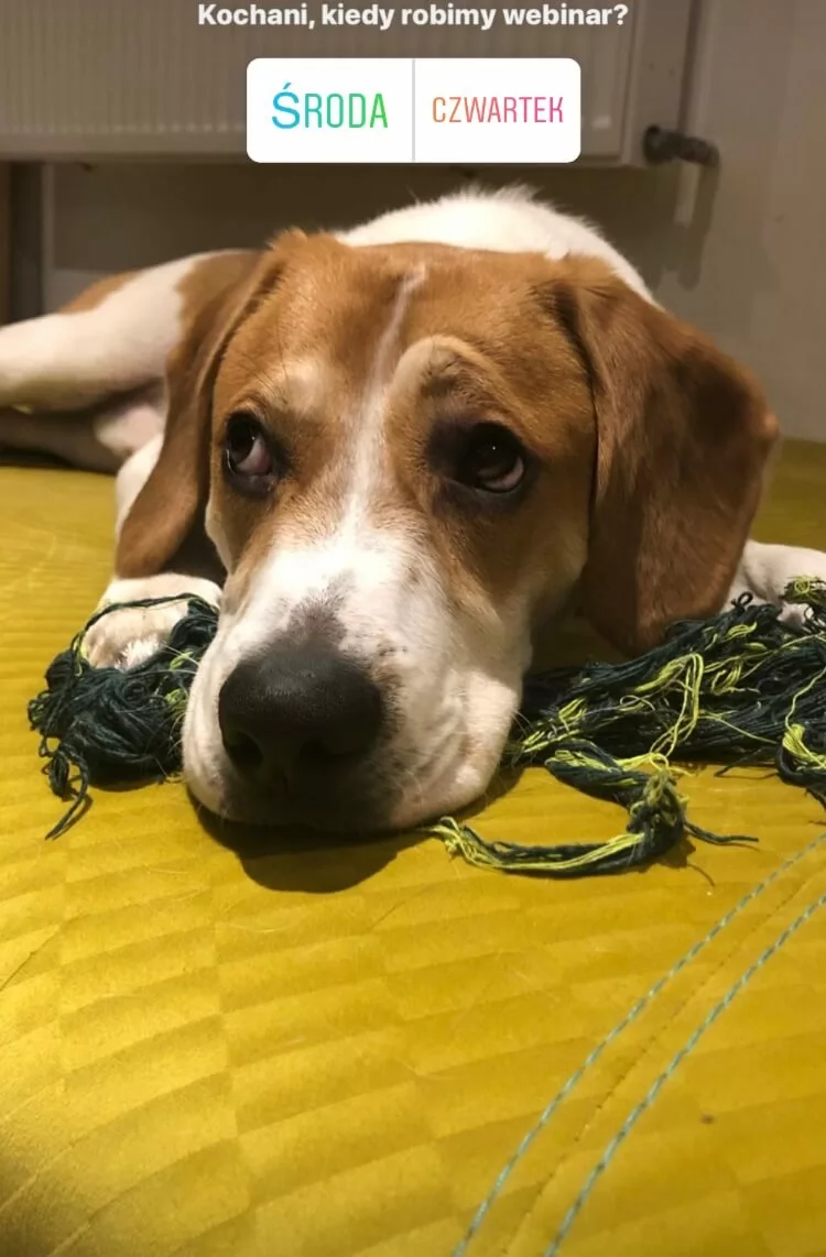 Jak wykorzystać formaty wideo do promocji wydarzeń Użycie relacji i reelsów do promocji wydarzeń w sieci